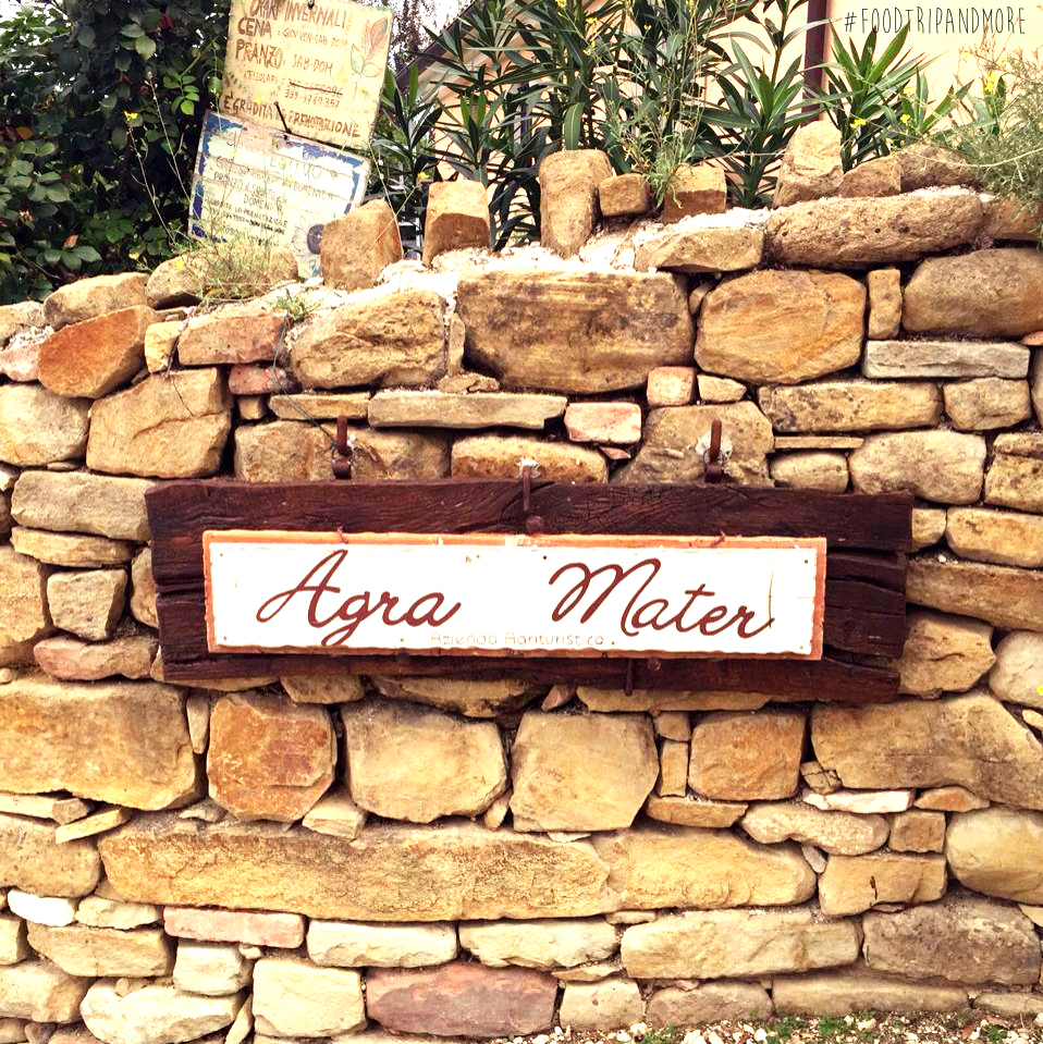 Vado a vivere in campagna e apro un agriturismo nelle Marche: la storia di Agra&nbsp;Mater!