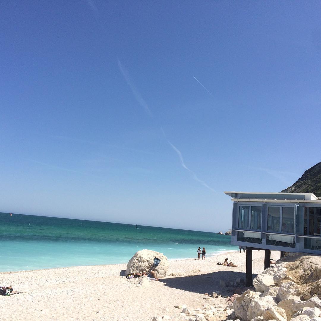 12930832_499953476856482_202075855_n(1)