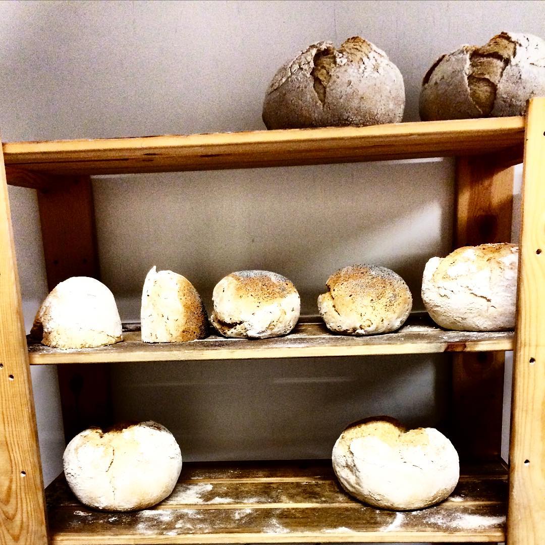 13129379_1539431246365359_1889968719_n(1)