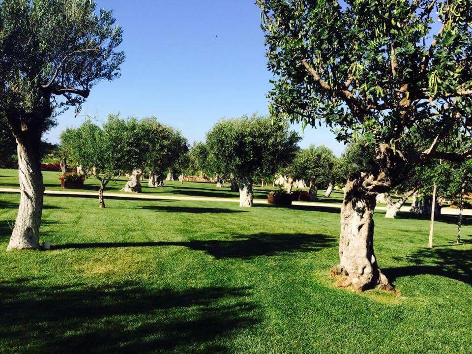 Pillole e tannini da Cantine Aperte in&nbsp;Puglia