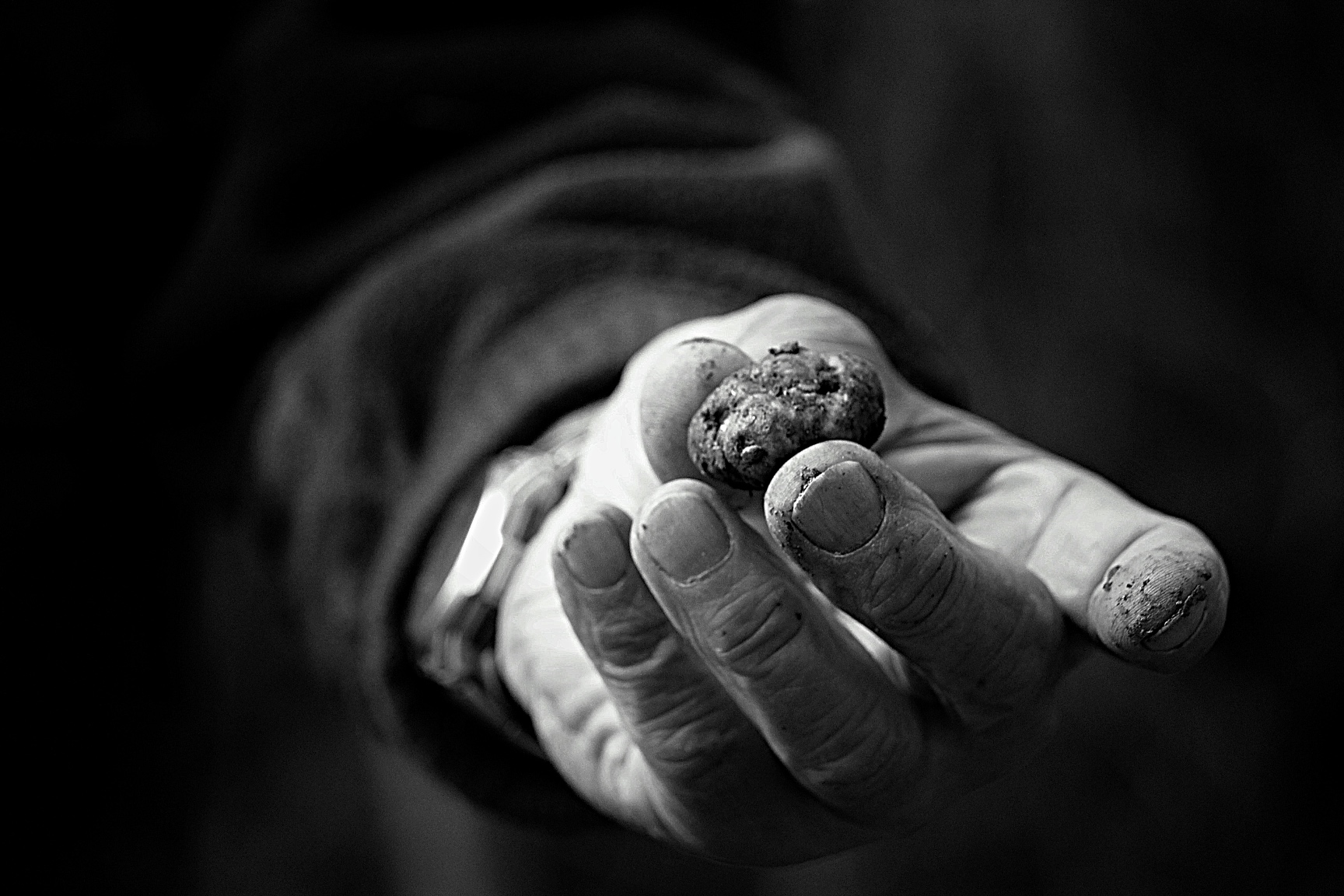 02-Tartufi-Marnacchia-Amandola