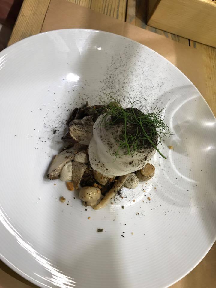 20179499_10155011071088335_1137638887_n