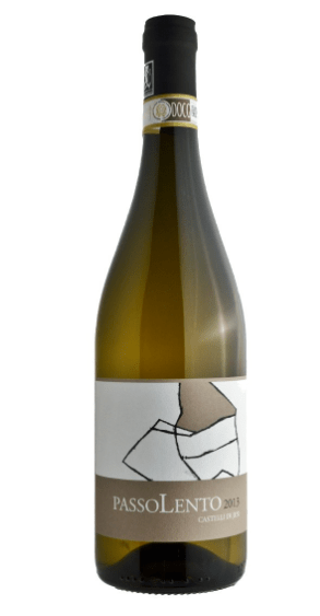 PASSOLENTO2013