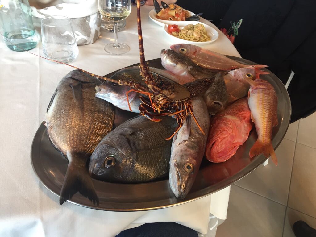 cb14cf4d-fa74-47f5-af9a-e48495a94866